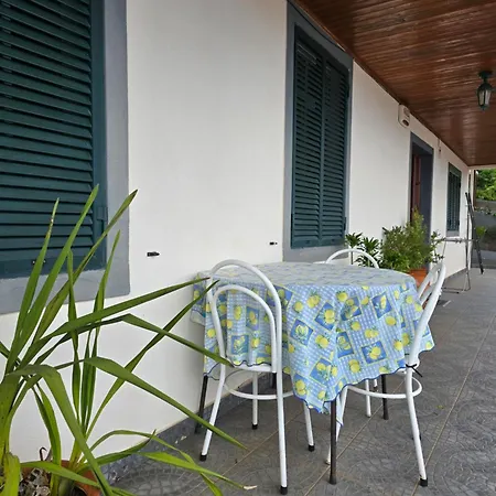 Paz House *